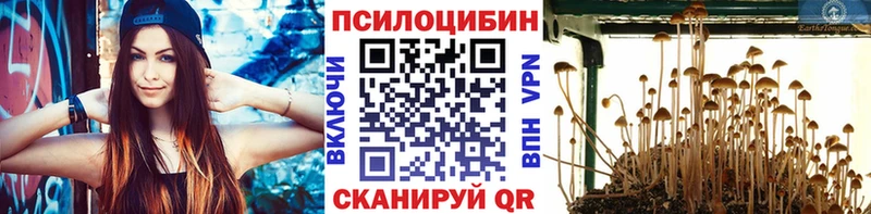 Псилоцибиновые грибы ЛСД купить Нерчинск